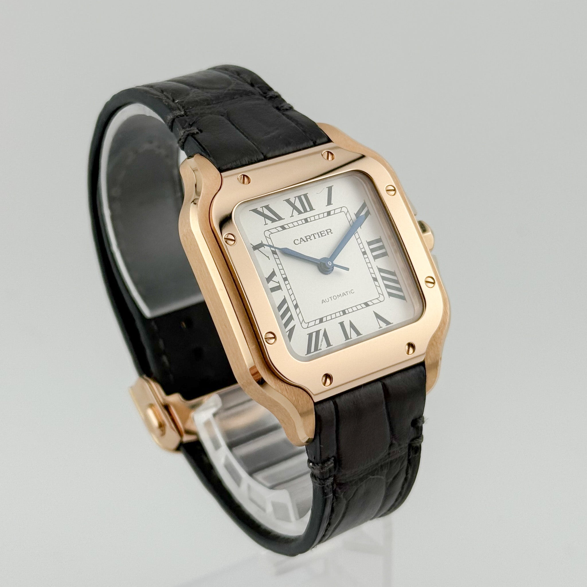 Cartier Santos WGSA0028 - 2021