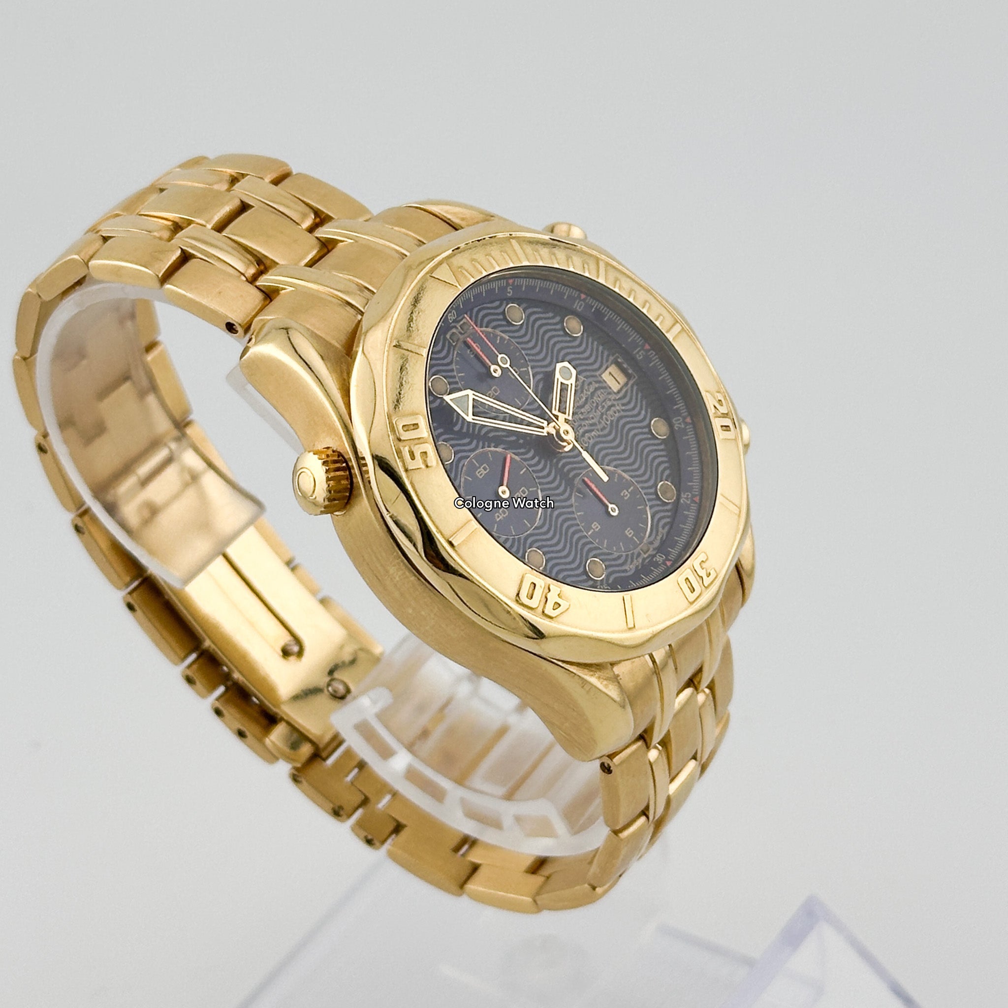 Omega Seamaster Professional