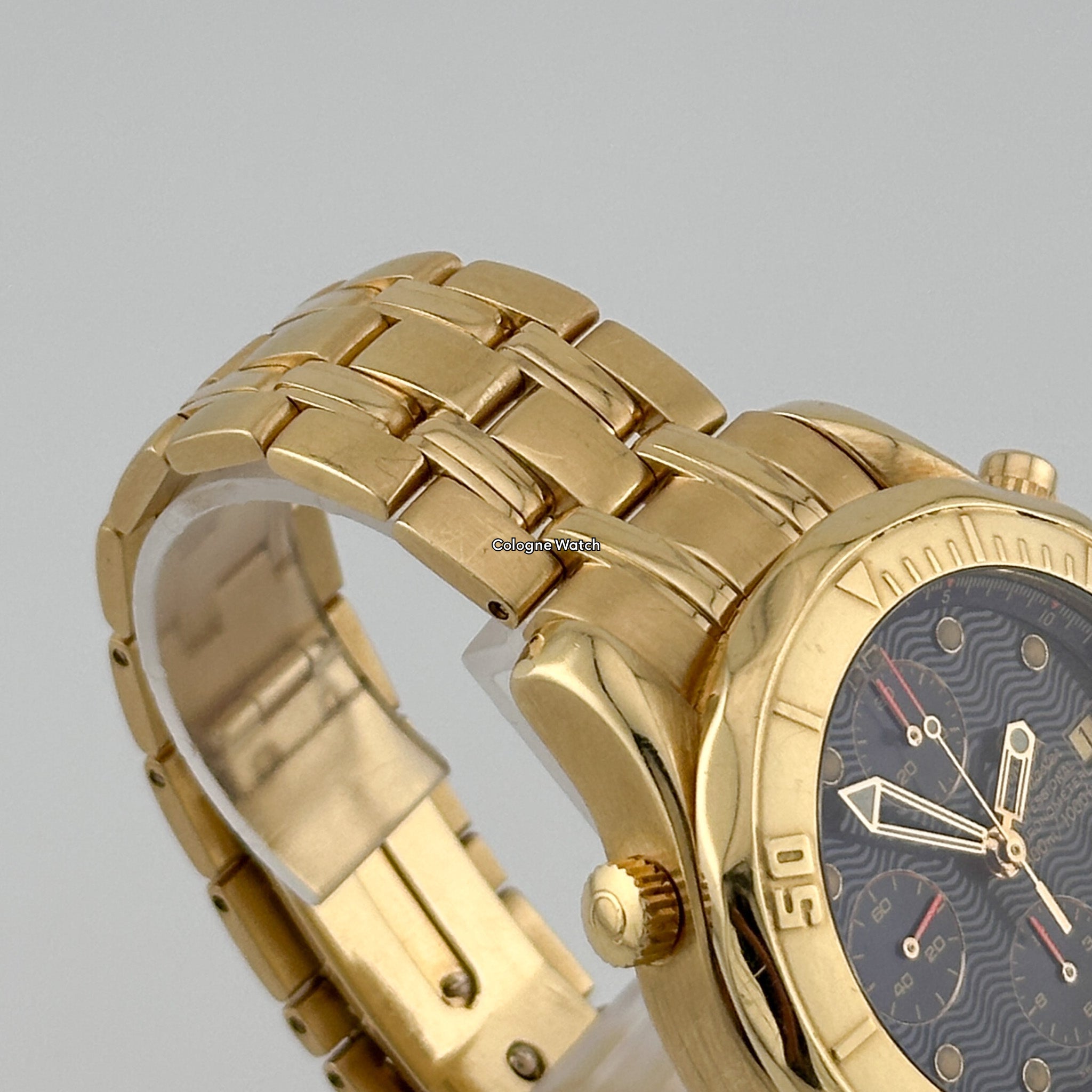 Omega Seamaster Professional