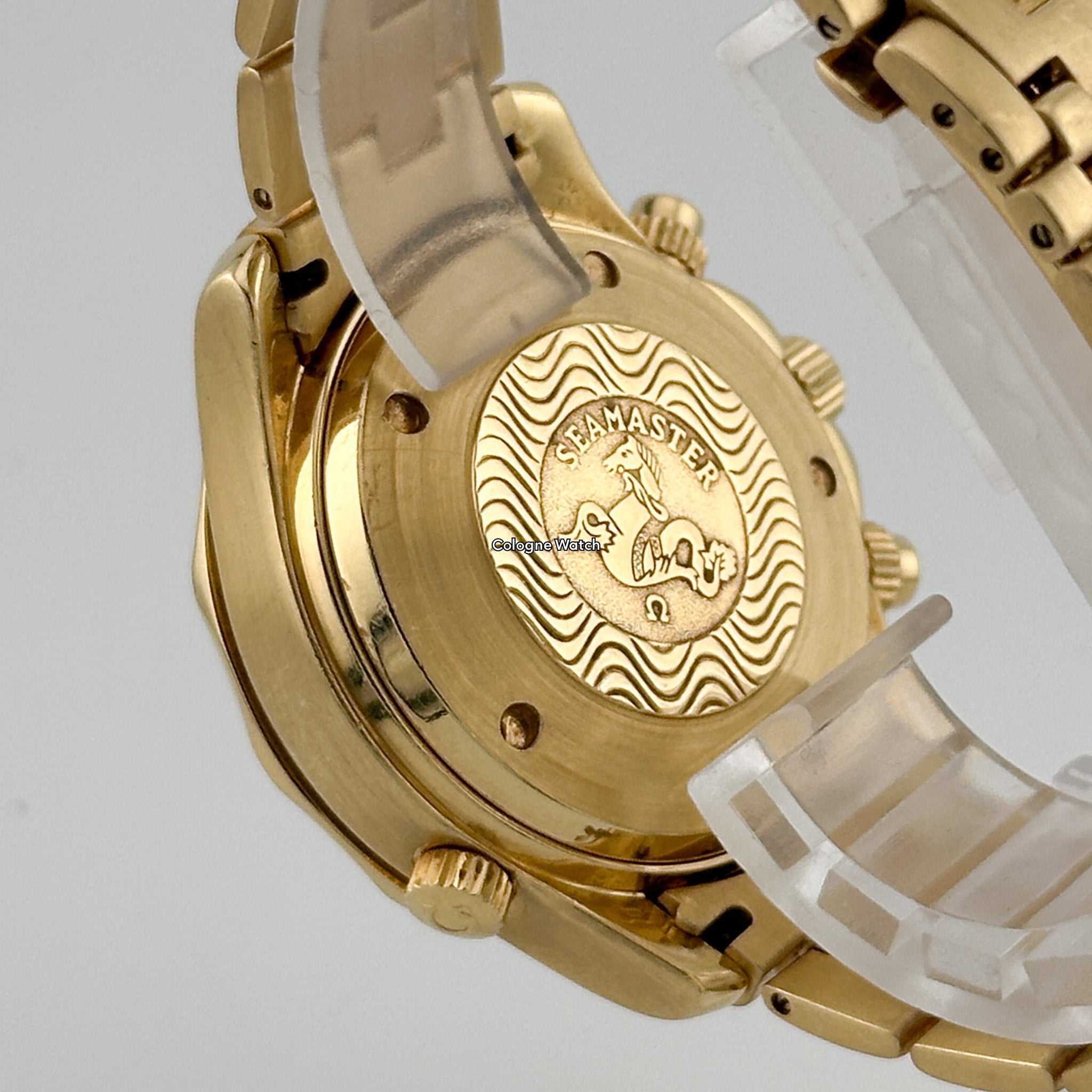 Omega Seamaster Professional