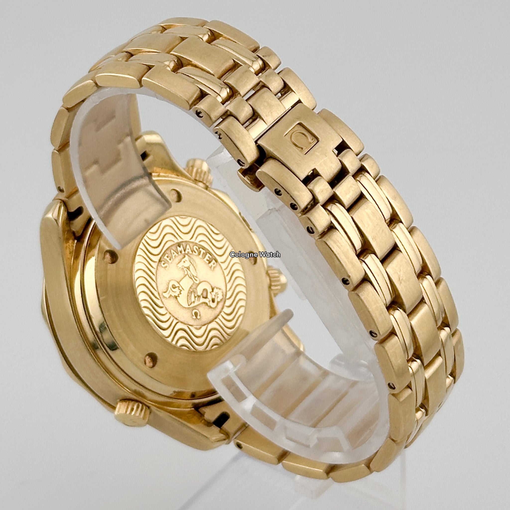 Omega Seamaster Professional