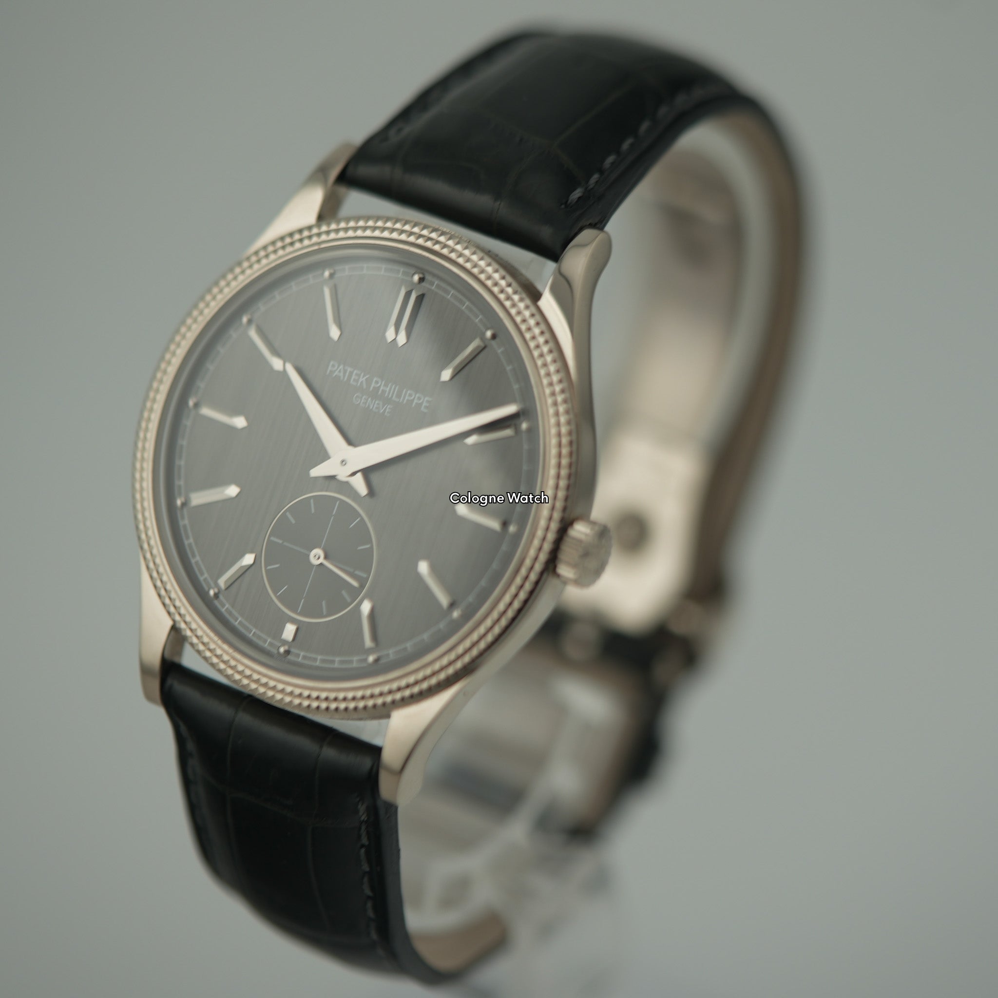 Patek Philippe Calatrava 6119G - 2022 + Calatrava Faltschließe