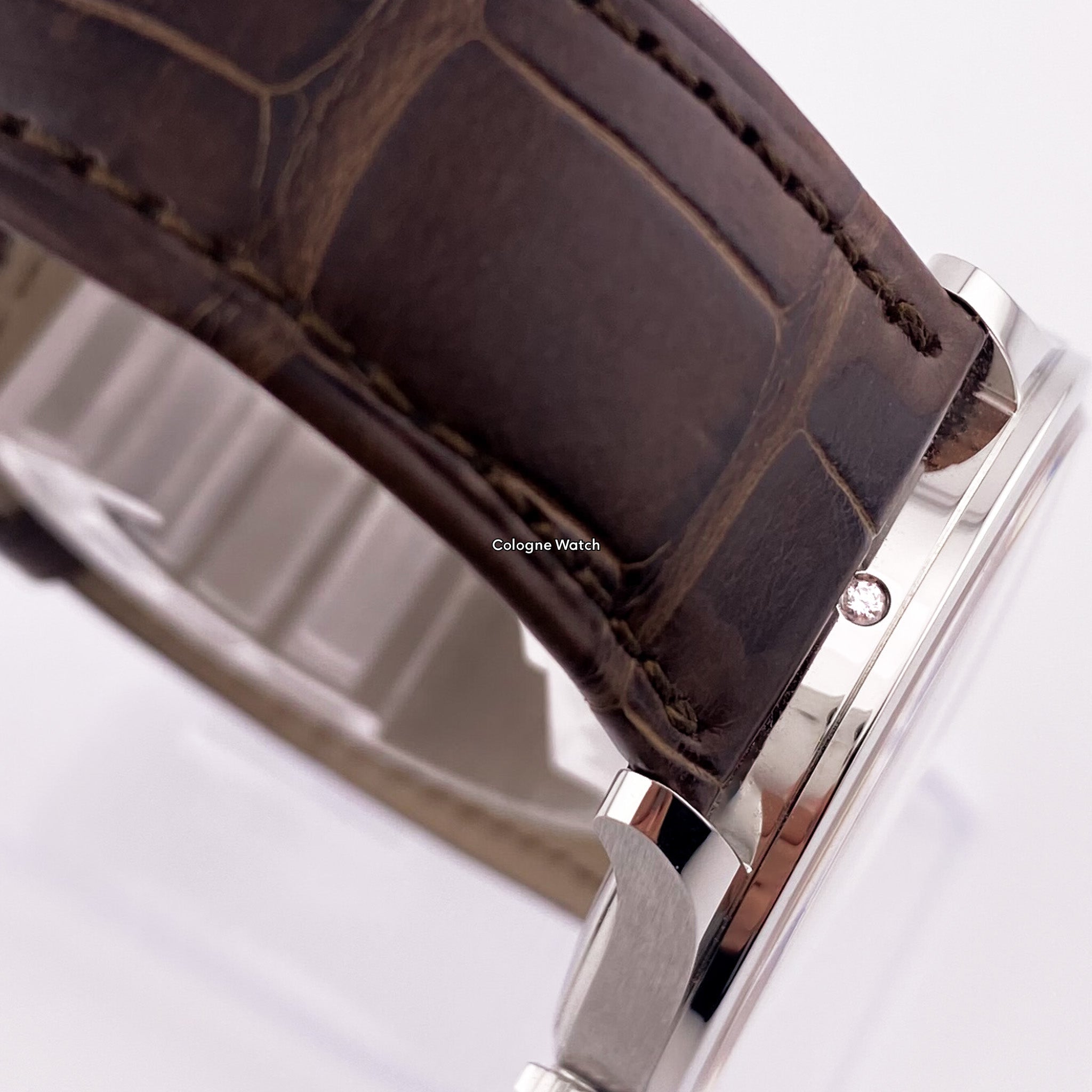 Patek Philippe Calatrava 6196P-001 Platin - 2025 Unworn