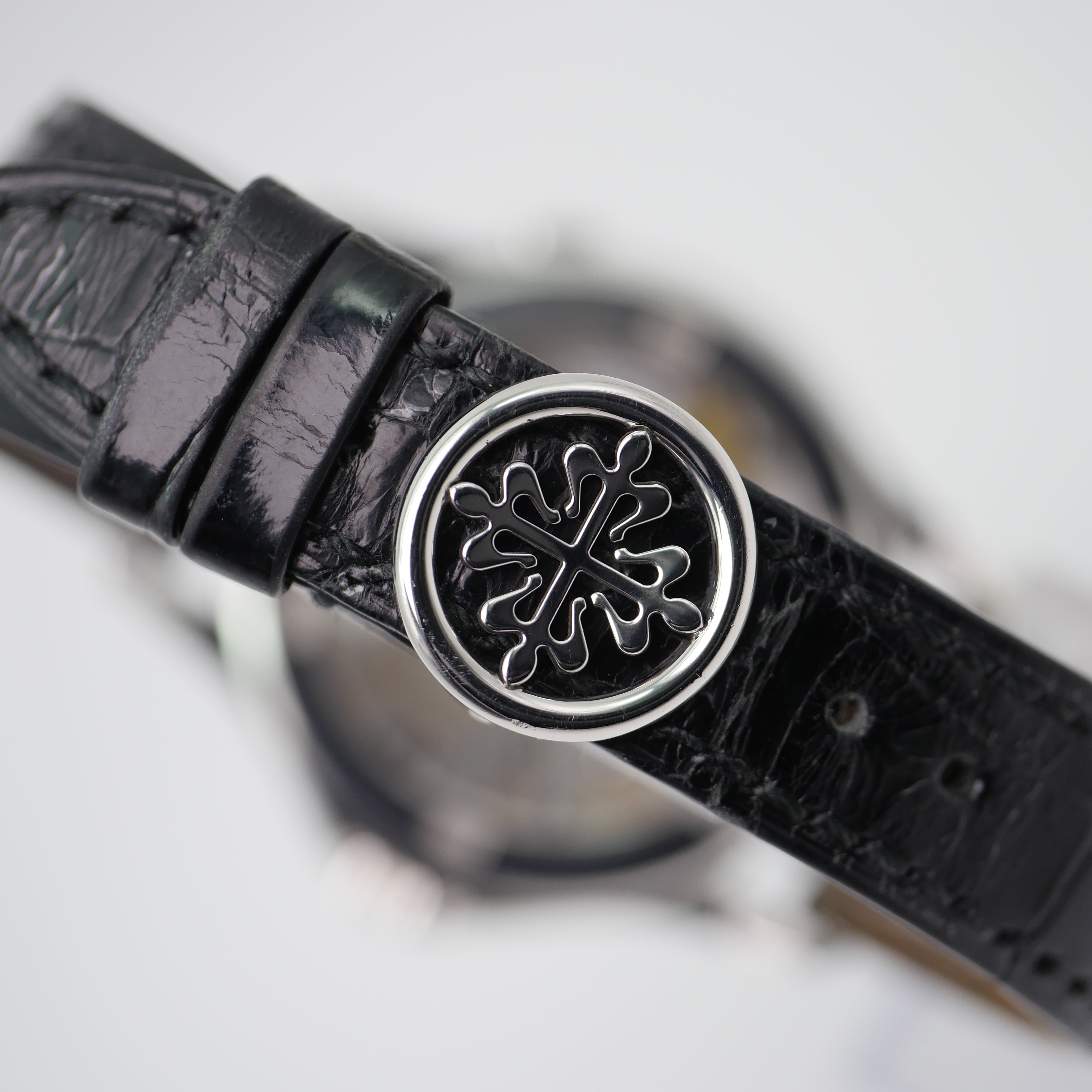 Patek Philippe World Time Platin 5110P-001 only watch