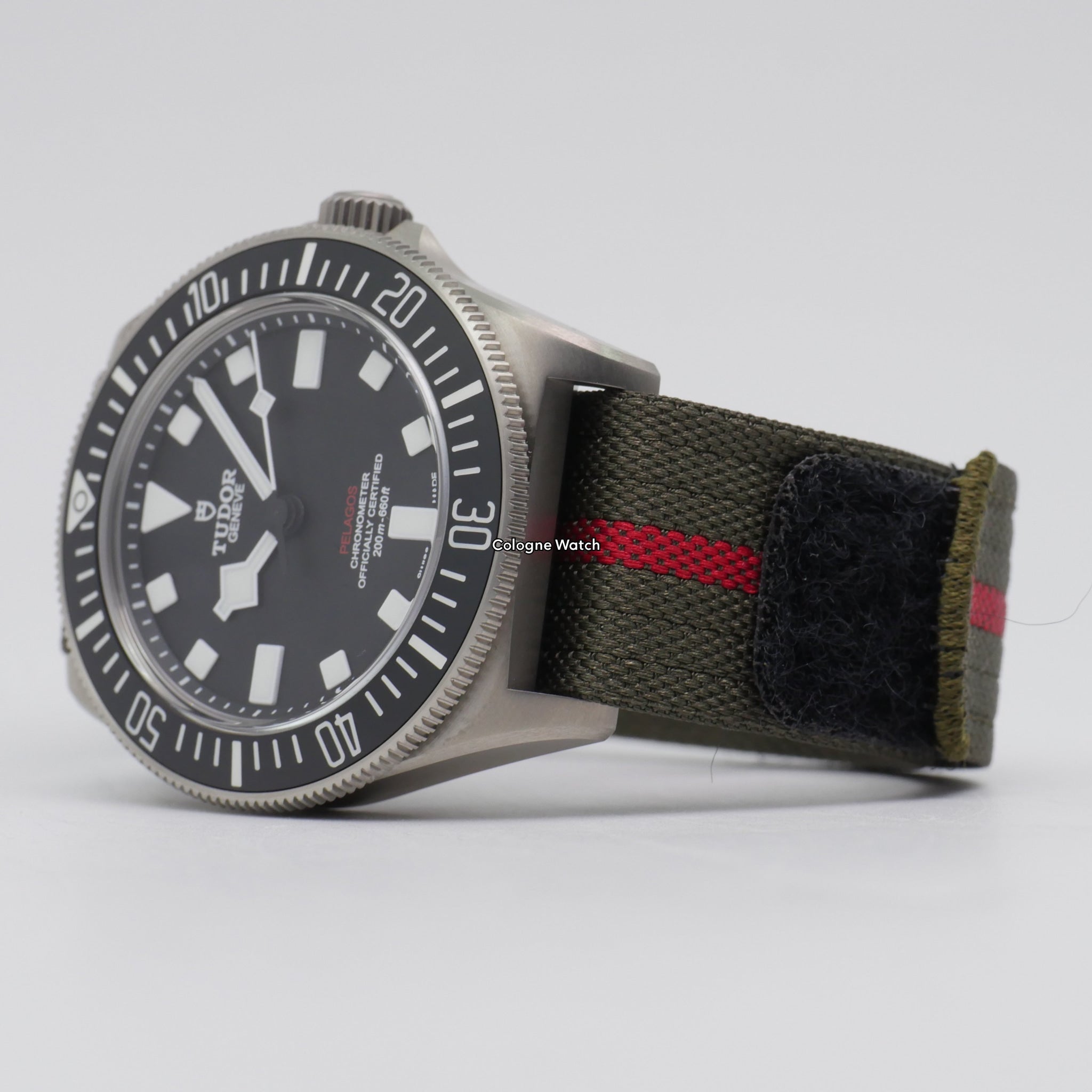 Tudor Pelagos FXD Titan 25717N - 2025